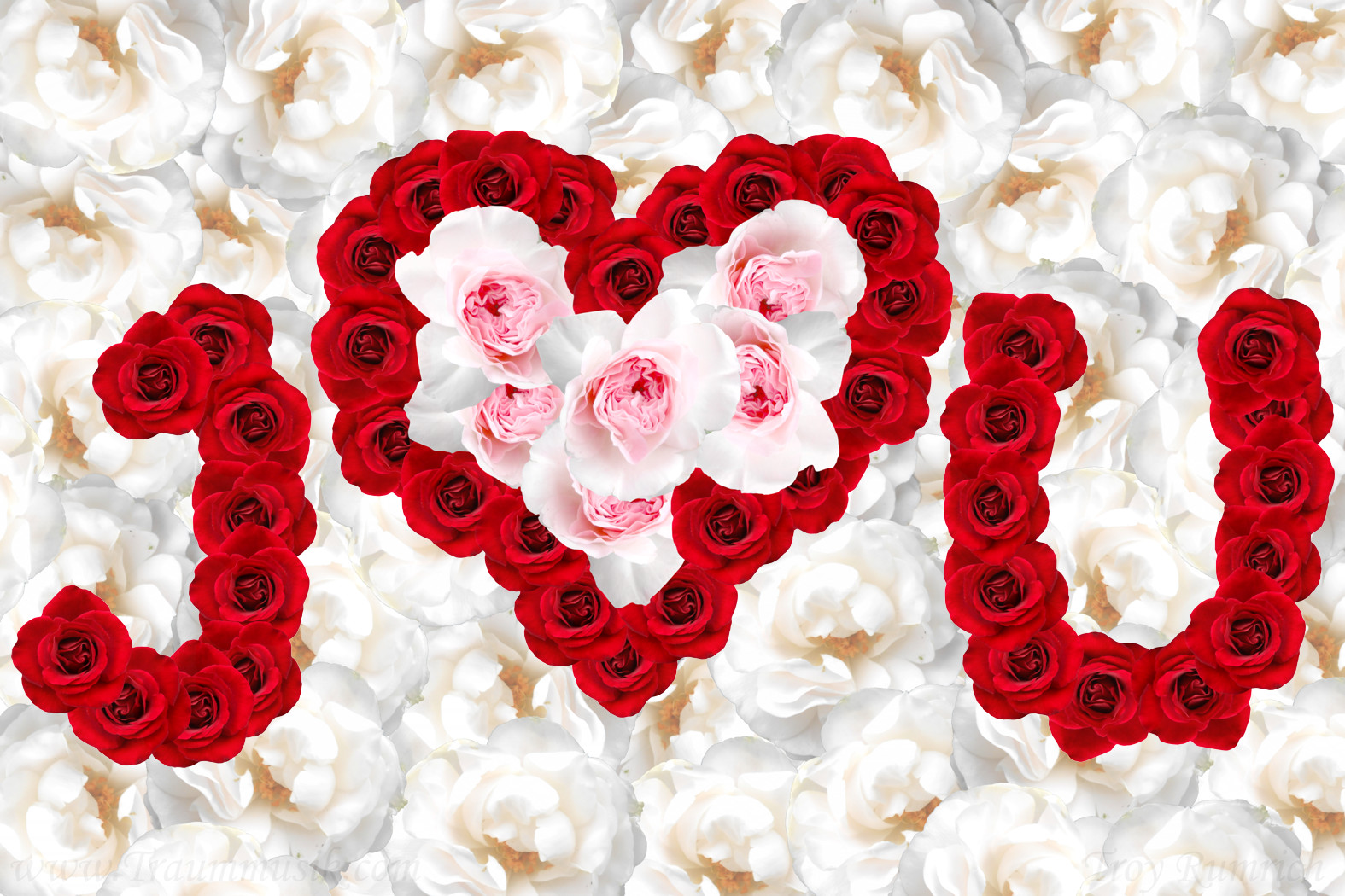 wallpaper "I Love You" Herz aus Rosen Blumen Bild Valentin